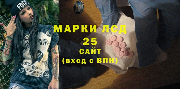 ГАЛЛЮЦИНОГЕННЫЕ ГРИБЫ Коряжма