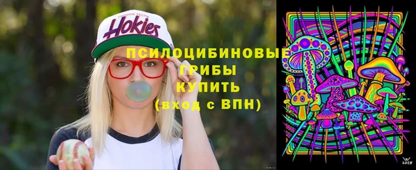 a pvp Козловка